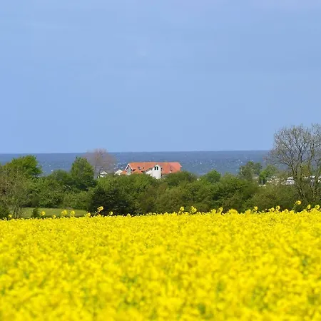 Steiner Strandappartements 305 Seeseite Stein (Schleswig-Holstein)